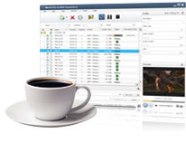 DVD WMV Conversion